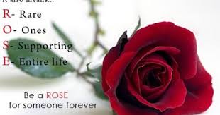 Best Happy Rose Day Rose Day 2016 In 2020 Happy Rose Day Wallpaper Rose Day Wallpaper Rose Day Shayari