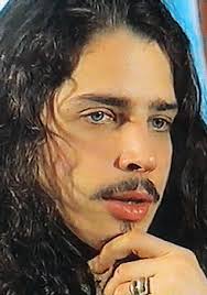 This goes into mbti+, which adds temperament systems. Kelly Magovern Dream7790 Soundgarden Chris Cornell 1992