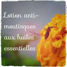 Fabriquez Votre Lotion Anti Moustiques Bio Actubio Anti Moustique Moustique Huile Essentielle Anti Moustique