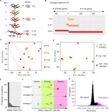 Frontiers Caenorhabditis Elegans Set1 Compass Maintains Germline Identity By Preventing Transcriptional Deregulation Across Generations Cell And Developmental Biology