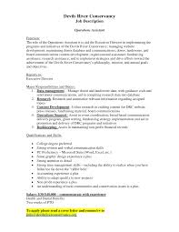 An executive director candidate requires a minimum of a master's degree in business. 2
