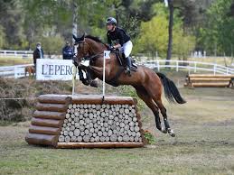Michael jung (horb) mit chipmunk 21,4 punkte 2. Saumur Start Ziel Sieg Fur Julia Krajewski Und Amande De B Neville