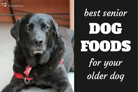 When you choose a senior dog food for your smaller breed, in addition to the nutrient profile, you'll also want to take into consideration the size of the. Best Senior Dog Food Top 5 Rated Brands For Older Dogs