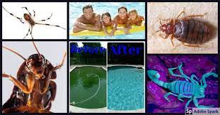 Exterminators ja kahjuritõrjelähedal ettevõttele red zone pest defense and pool care. Red Zone Pest Defense And Pool Service Surprise Az Pest Control Mapquest
