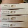 If a woman misses a period and a pregnancy test is negative, she should repeat the test after a few days. Https Encrypted Tbn0 Gstatic Com Images Q Tbn And9gcq3y59vt0nbbgn6zjwydcxvsmq4y2irpv4xbuc8oi7nwhr8wxnw Usqp Cau