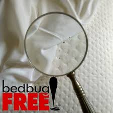 Thrasher Termite Pest Control 17427 Farley Rd W Los Gatos Ca Termite Damage Restoration Mapquest
