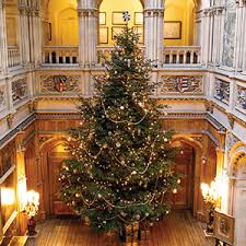 Decorations will shine brighter, look better, and reduce power draw by up to 90% for years so don't hold back! Christmas At Highclere Recipes And Traditions From The Real Downton Abbey Amazon Co Uk Carnarvon The Countess Of 9781848095229 Books