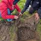 Reeth - Unearthing the secrets of your soil - The Buck, Arkengarthdale Rd, Reeth Event Image