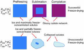 This is in contrast to dehydration by most conventional methods that evaporate water using heat. Freezing And Freeze Drying Springerlink