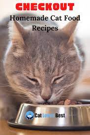 Easy Simple Ways To Cook Cat Food Recipe In Few Minutes In 2021 Cat Food Homemade Cat Food Cat Food Brands