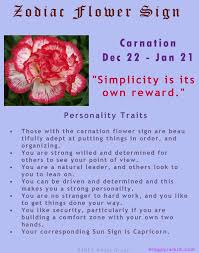 Carnation December 22 January 21 Zodiac Zodiac Capricorn Carnation Flower