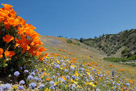 Check spelling or type a new query. Scenic California Inland Mountain And Desert Landscape Photography