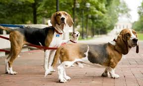 People-watching in the Diag
