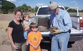 Последние твиты от critter getter pest (@thecritterpest). Critter Getter Celebrates 20 Years In Business