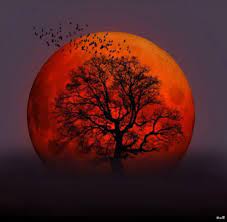 You're more than a retiree, you're older and bolder! So Cool Naturbilder Sonnenuntergange Fotografie Kunst