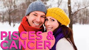 Both are a great match because they have similar energy levels, dispositions, and desires in life. Cancer Cancer Friendship Compatibility Chart Vtwctr