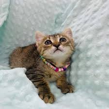 Dost Patiler (@dosttpatiler) • Instagram photos and videos