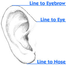 Comic Reference Drawing Realistic Ears Drawings Drawing People Sketches