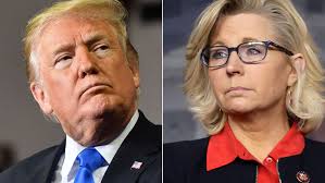 She has continued to insist. Wyoming Rep Liz Cheney What Trump Did Is A Line That Cannot Be Crossed Cnnpolitics