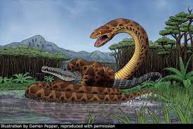 Titanoboa Cerrejonensis Illustration By Darren Pepper Titanoboa Ranged In Size From 12 8 And 14 8 Animais Pre Historicos Animais Extintos Dinossauros