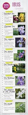 Check spelling or type a new query. Iris Plants For Any Garden Type About The Garden Magazine