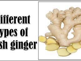 We did not find results for: 11 Different Types Of Fresh Ginger With Images Asian Recipe
