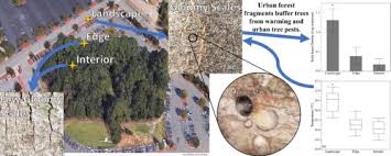 Check spelling or type a new query. Urban Forest Fragments Buffer Trees From Warming And Pests Sciencedirect