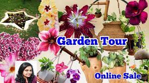 Public tours of luther burbank's santa rosa home & gardens. Home Garden Tour House Plant Collection Diy Garden Ideas Salu Koshy Gardenideasforhome Youtube