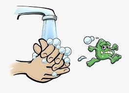Fresh fruits and vegetables are grown in dirt or on bushes, vines, or trees. Cartoon Girl Washing Hands Clipart
