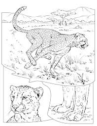 Coloring Book Animals A To I Animal Coloring Pages Animal Coloring Books Shark Coloring Pages