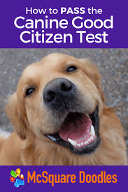 Pin On Canine Good Citizen