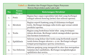 Buku ipa kelas ix smp/mts ini disusun dengan pemikiran di atas. 3pzy2dkvhs7i M