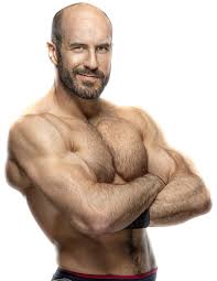 Choose from 660+ roman reigns graphic resources and download in the form of png, eps, ai or psd. Cesaro 2020 New Png By Ambriegnsasylum16 On Deviantart