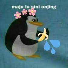 Maju sini terbaru gratis dan mudah dinikmati. Maju Lu Sini Anjing Pa Twitter Newprofilepic