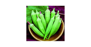 Image result for Ozoroa nigricans