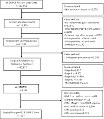 Since the initial description of its clinical. Management Of The Positive Pathologic Circumferential Resection Margin In Rectal Cancer A National Cancer Database Ncdb Study European Journal Of Surgical Oncology