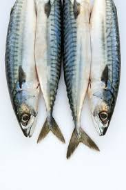 Epingle Par Regina Sur Rabota Art De Poissons Elevage De Poissons