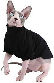 3 amazing canadian male sphynx for adoption. Amazon Com Sphynx Cat Clothes Winter Thick Cotton T Shirts Double Layer Pet Clothes Pullover Kitten Shirts With Sleeves Hairless Cat Pajamas Apparel For Cats Small Dogs S 3 3 5 Lbs Black Kitchen