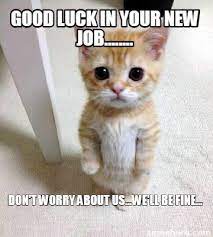 Great job reiterating the title of the article with a caption. Good Luck In Your New Job Meme Meme Wall