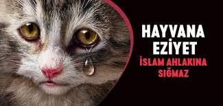 Hayvana Eziyet Islam Ahlakina Sigmaz Islam Ve Ihsan