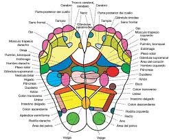Color Chart For Foot Detox Detox Foot Pad Chart