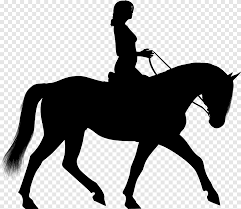 Cowboy riding horse silhouette man on horse silhouette cowboy in horse silhouette western cowboy cowboy on horse silhouette 3 cowboys man riding horse silhouette silhouette horses running desert old west. Horse Equestrian Silhouette Horse Riding Horse Animals Png Pngegg