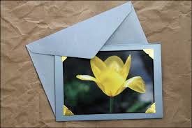 Send your cards via email, share on social media, print at home or get them professionally printed. Making Greeting Cards With Photos And Some Pictures Of Our Flowers Loulou Downtown