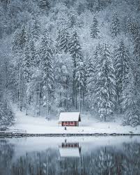 (© monika minder) der winter und seine sprache. 60 000 Besten Winter Fotos 100 Kostenloser Download Pexels Stock Fotos