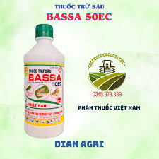 Bassa 50EC