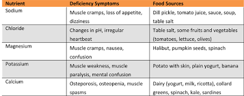 Everything About Getting Enough Electrolytes While Fasting