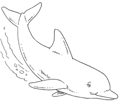 10 mewarnai gambar ikan mas via bonikids.blogspot.com. Menggambar Lumba Lumba Menggambar Dan Mewarnai