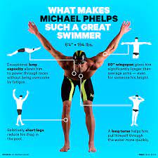 Michael phelps is an american swimmer who holds the record for the most olympics medals won by any athlete at 28, including 23 gold medals and 13 individual. Michael Phelps Body Is Perfect For Swimming