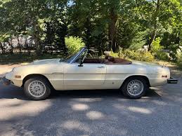 Image result for Avorio 1980 Alfa-Romeo