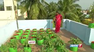 Plant the garden near a water supply if possible. How To Grow Vegetables In A Container Or Pots On The Terrace Poovali News7 Tamil Youtube